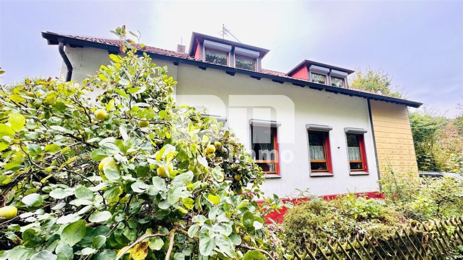 Modernisiertes Einfamilienhaus auf riesigem Grundstück mit Carport und Nebengebäude - Frontansicht Titel